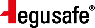 TEGUSAFE Logo